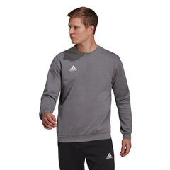 Adidas Džemprid Ent22 Sweat Top Grey H57479 hind ja info | Meeste spordiriided | kaup24.ee