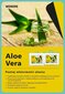 Tekk Aloe Vera, 220 x 200 cm hind ja info | Tekid | kaup24.ee