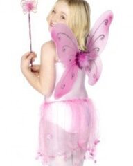 Крылья бабочки с палочкой цена и информация | Карнавальные костюмы | kaup24.ee