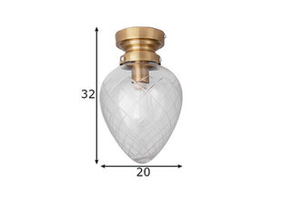 Globen Lighting laevalgusti Juni hind ja info | Laelambid | kaup24.ee