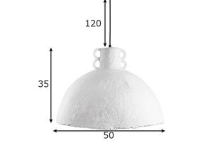 Потолочный светильник Globen Lighting Mache 50 цена и информация | Потолочные светильники | kaup24.ee