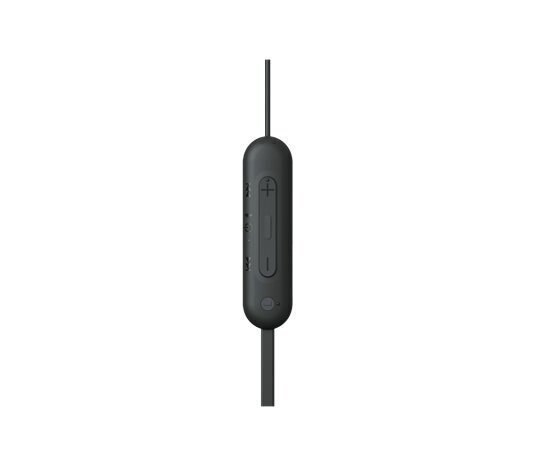 Sony WI-C100 hind ja info | Kõrvaklapid | kaup24.ee