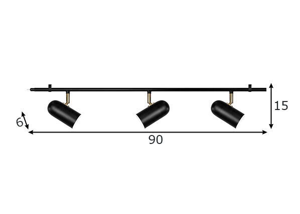 Globen Lighting laevalgusti Swan hind ja info | Laelambid | kaup24.ee