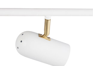 Globen Lighting laevalgusti Swan hind ja info | Laelambid | kaup24.ee