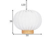 Globen Lighting laevalgusti Yokohama 50 hind ja info | Laelambid | kaup24.ee