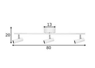 Globen Lighting laevalgusti Hubble hind ja info | Laelambid | kaup24.ee