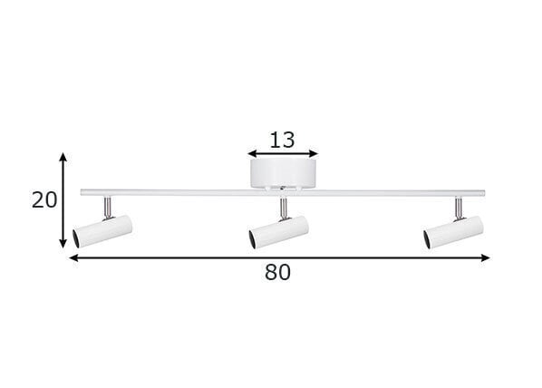 Globen Lighting laevalgusti Hubble цена и информация | Laelambid | kaup24.ee