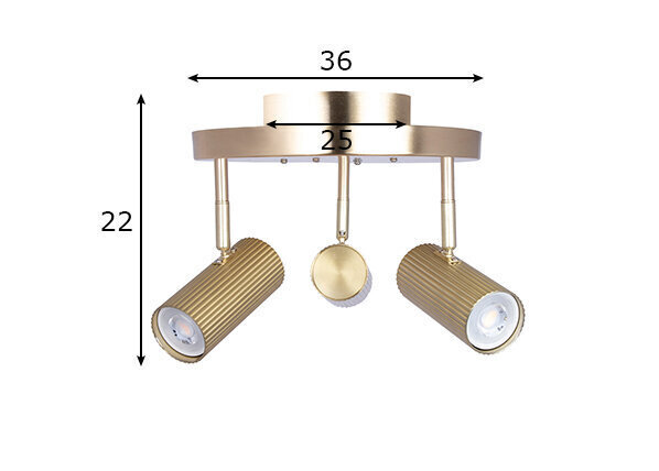 Globen Lighting laevalgusti Hubble hind ja info | Laelambid | kaup24.ee