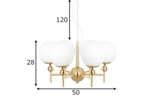 Globen Lighting laevalgusti Astrid 50 цена и информация | Потолочные светильники | kaup24.ee