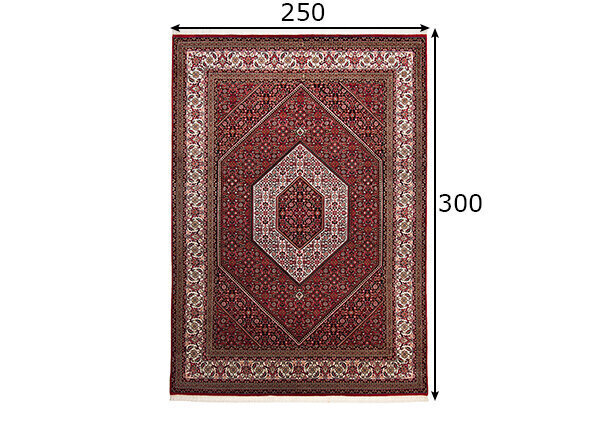 Vaip Theko Sirsa Silk 250x300 cm цена и информация | Vaibad | kaup24.ee