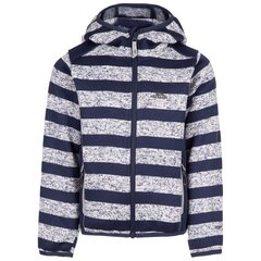 Poiste dressipluus Trespass UCFLFLTR0010 - Conjure – Unisex Kids Fleece AT200 hind ja info | Poiste kampsunid, vestid ja jakid | kaup24.ee