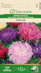 Астры Kralen цена и информация | Семена цветов | kaup24.ee