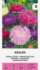 Астры Kralen цена и информация | Семена цветов | kaup24.ee