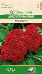 Целозия серебристая Toreodor цена и информация | Зайцехвост яйцевидный | kaup24.ee