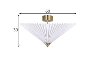 Globen Lighting laevalgusti Matisse hind ja info | Laelambid | kaup24.ee