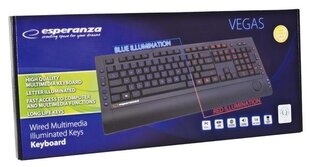Esperanza EK114 цена и информация | Клавиатура с игровой мышью 3GO COMBODRILEW2 USB ES | kaup24.ee