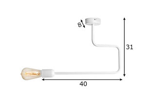Подвесной светильник Eko цена и информация | Потолочные светильники | kaup24.ee
