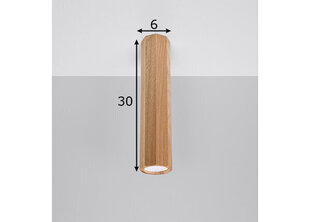 Потолочный светильник Sollux Zeke 30 цена и информация | Потолочные светильники | kaup24.ee