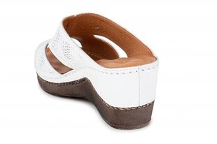 Naiste sandaalid MONNA LISA 264182042025 hind ja info | Naiste sandaalid | kaup24.ee