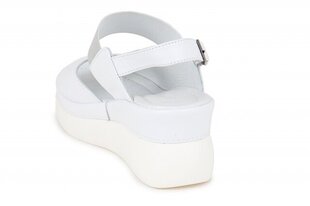 Naiste sandaalid MONNA LISA 264158040025 hind ja info | Naiste sandaalid | kaup24.ee