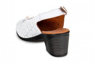 Naiste sandaalid MONNA LISA 264107042025 hind ja info | Naiste sandaalid | kaup24.ee