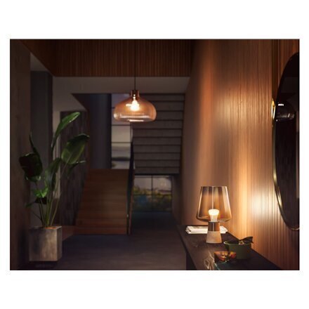 Nutikad LED pirnid Philips Hue E27 9W 800lm, 4 tk. hind ja info | Lambipirnid, lambid | kaup24.ee