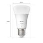 Nutikad LED pirnid Philips Hue E27 9W 800lm, 4 tk. hind ja info | Lambipirnid, lambid | kaup24.ee