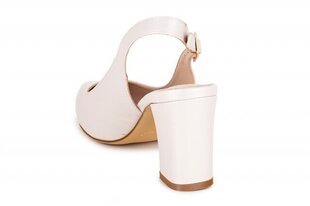 Naiste sandaalid SERGIO LEONE 267303040052 hind ja info | Naiste kingad | kaup24.ee