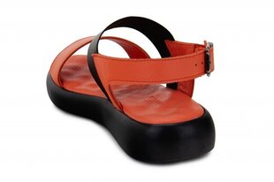 Naiste sandaalid MONNA LISA 265127042413 hind ja info | Naiste sandaalid | kaup24.ee