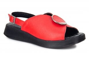 Naiste sandaalid MONNA LISA 265114041407 hind ja info | Naiste sandaalid | kaup24.ee