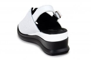 Naiste sandaalid BONAVI 264181041025 hind ja info | Naiste sandaalid | kaup24.ee