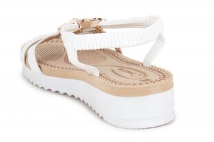 Naiste sandaalid LOVESHOES 265708041025 hind ja info | Naiste sandaalid | kaup24.ee