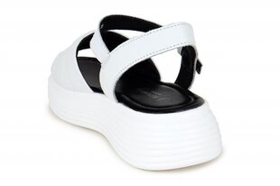 Naiste sandaalid BONAVI 266221041025 hind ja info | Naiste sandaalid | kaup24.ee