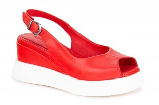 Naiste sandaalid MONNA LISA 266209041407 hind ja info | Naiste sandaalid | kaup24.ee