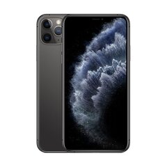 iPhone 11 Pro Max 64GB Space Gray (kasutatud, seisukord A) цена и информация | Мобильные телефоны | kaup24.ee