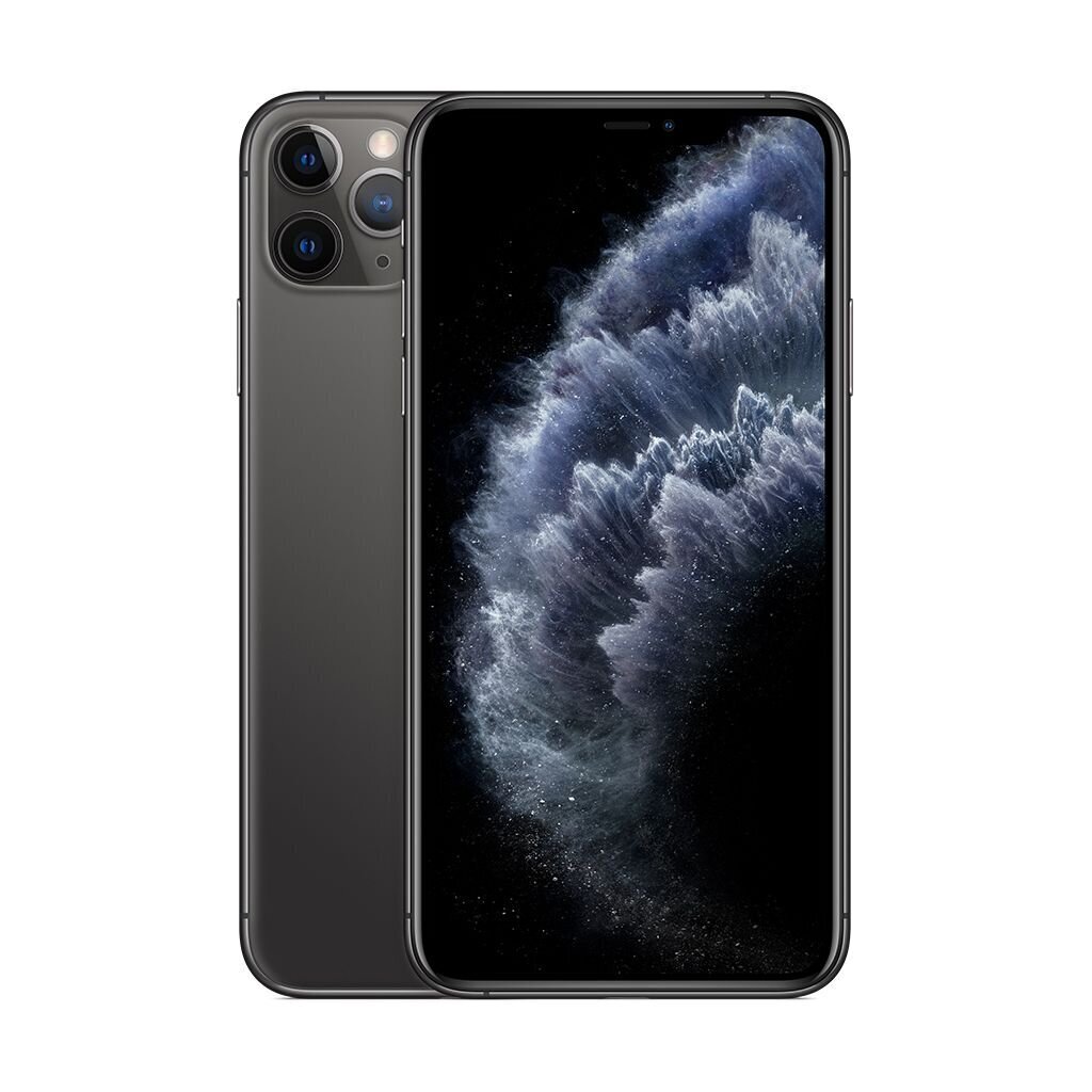 iPhone 11 Pro Max 64GB Space Gray (kasutatud, seisukord A) цена и информация | Telefonid | kaup24.ee