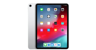 iPad Pro 11" 1.gen 256GB WiFi, Silver (kasutatud, seisukord A) hind ja info | Tahvelarvutid | kaup24.ee