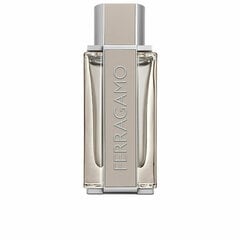 Meeste parfüüm Salvatore Ferragamo Ferragamo Bright Leather EDT (100 ml) hind ja info | Salvatore Ferragamo Kosmeetika, parfüümid | kaup24.ee