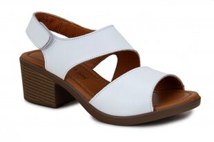 Naiste sandaalid BONAVI 266901041025 hind ja info | Naiste kingad | kaup24.ee