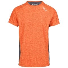 Meeste T-särk vabaaja veetmiseks Trespass DLX MATOTSTR0009 - Cooper - Male DLX Active Top цена и информация | Мужские футболки | kaup24.ee