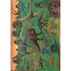 Kinkepaber "Dinosaurused", 50 x 70 cm hind ja info | Kingituste pakendid | kaup24.ee