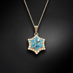 Naiste kaelakee DiamondSky "Snowflake (Aquamarine)" Swarovski kristallidega DS01K430 hind ja info | Kaelakeed | kaup24.ee