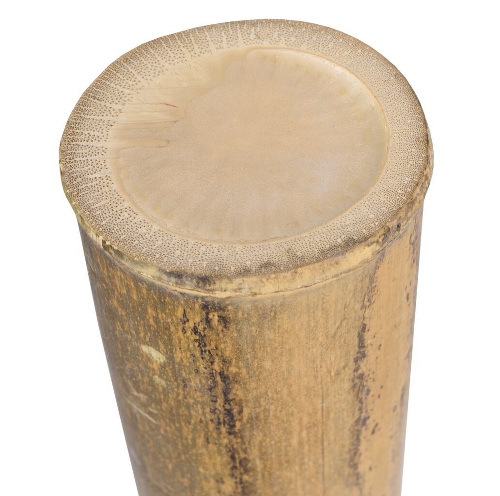 Bambusest varras moso 100 cm 9-10 cm цена и информация | Dekoratsioonid | kaup24.ee