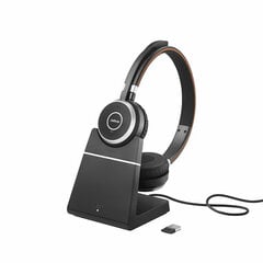 Jabra 14207-39 цена и информация | Аксессуары для наушников | kaup24.ee