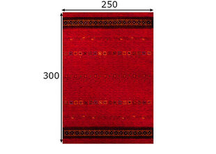 Vaip Theko Lori Dream Gold 250x300 cm hind ja info | Vaibad | kaup24.ee