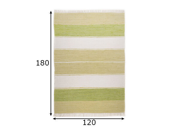 Vaip Theko Happy Design Stripes, 120x180 cm hind ja info | Vaibad | kaup24.ee