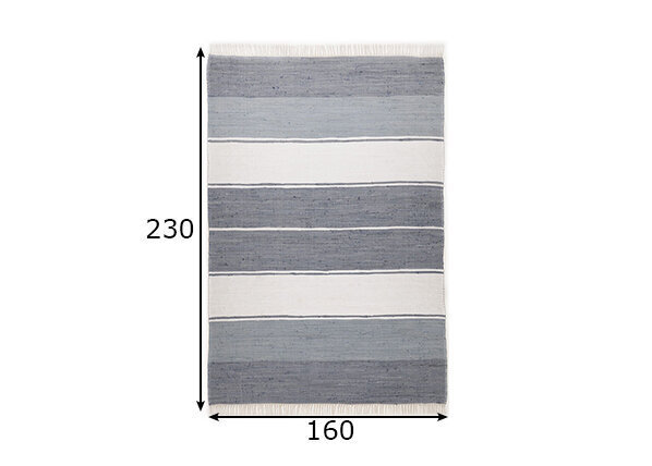 Vaip Theko Happy Design Stripes, 160x230 cm hind ja info | Vaibad | kaup24.ee