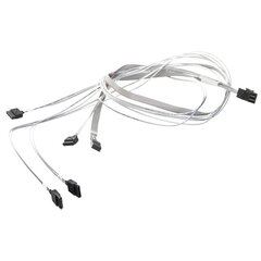 miniSAS->SATA CBL-SAST-0556 цена и информация | Кабели и провода | kaup24.ee