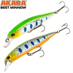 Vobler Akara Best Minnow 100SP A204 цена и информация | Воблеры, приманки, блесны | kaup24.ee