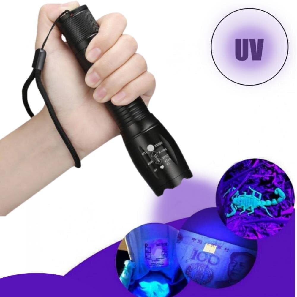 Taskulamp UV-LED-lambiga, käeshoitav hind ja info | Taskulambid, prožektorid | kaup24.ee